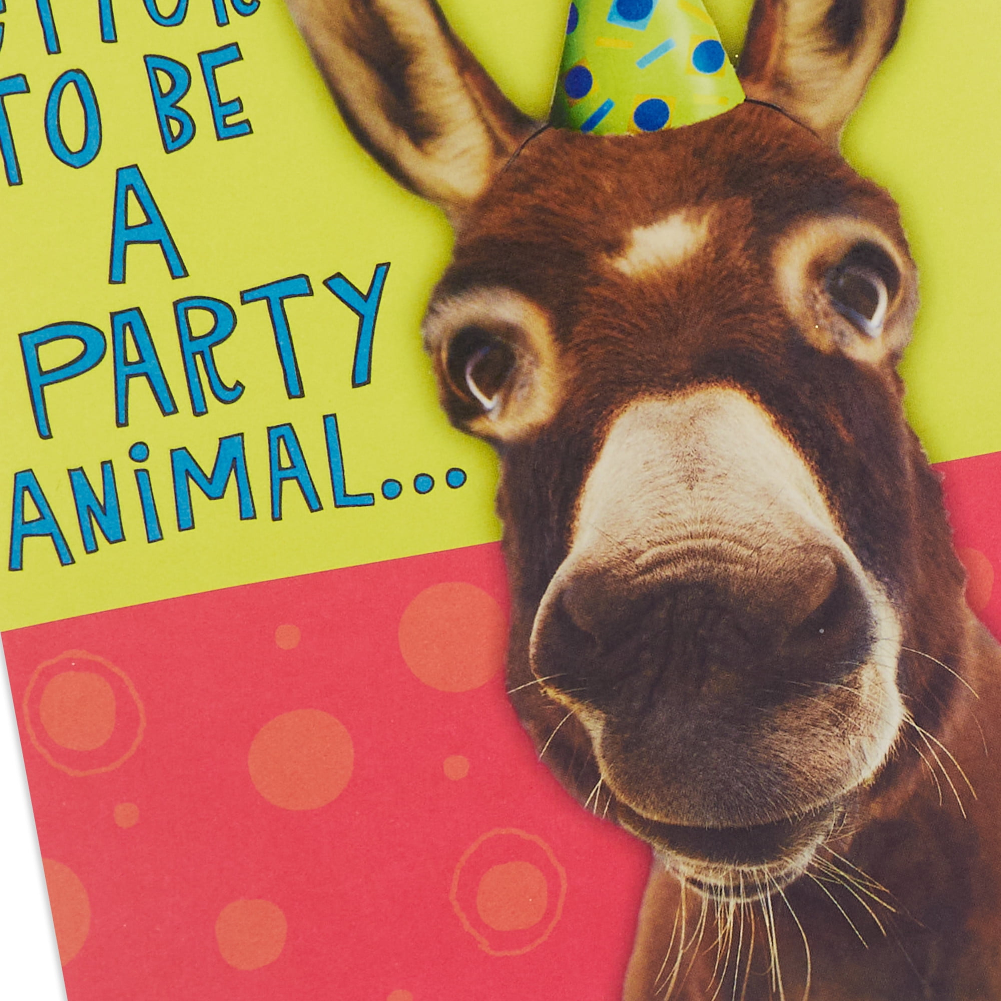 Hallmark Funny Birthday Card (Farting Donkey)