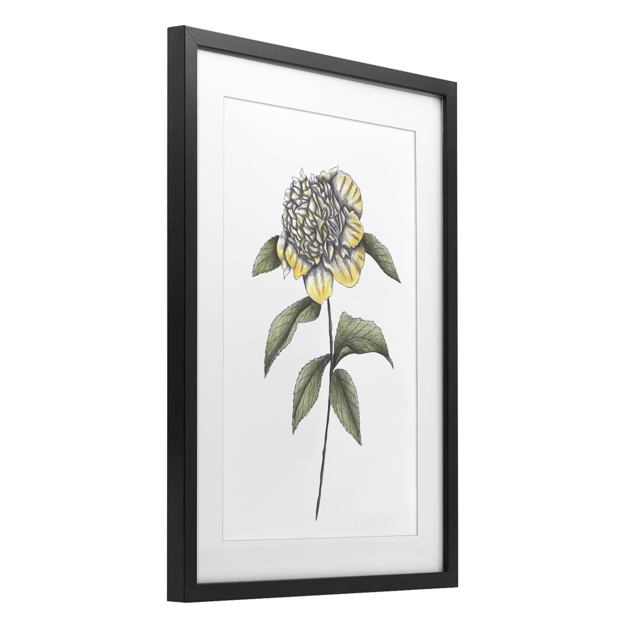 Camellia Flower Illustration Black Framed Print Under Glass, design by Cecilia Battaini