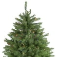 thumbnail image 4 of Northlight 9' Pre-Lit Rockwood Pine Artificial Christmas Tree, Multi Lights, 4 of 6