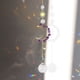 thumbnail image 5 of Crystal Windchime Dream Catchers Moon Flower Chandelier Home Decor (Púrpura) Ndcxsfigh Nuevos Originales, 5 of 8
