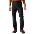 thumbnail image 4 of Regatta Pantalons de Randonnée Highton II pour Hommes, 4 of 5