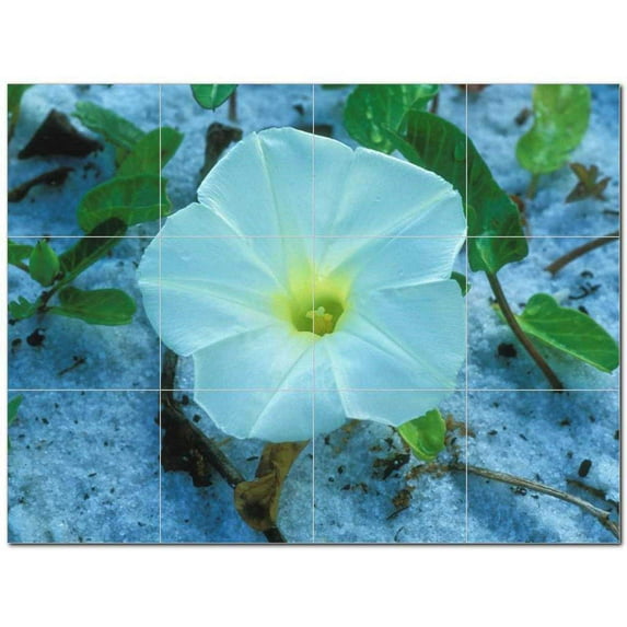 Flower Photo Ceramic Tile Mural Kitchen Backsplash Bathroom Shower 404858-M43