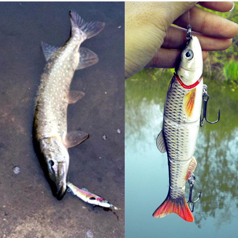 chinook salmon fishing lures King COHO Humpy Sockey Stealhead Squid Skirt Spinner Lure UV Gill Crenated Double Hooks for Trolling (Pink, Green, White, Metallic Green) : Sports & Outdoors How to Hook a Great