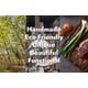 thumbnail image 2 of FRANK'S | Tablas de cortar 30.5 x 40.6 x 5.1 cm. Resistentes, duraderas y elegantes. Perfectas para cortar y preparar alimentos en tu cocina, 2 of 8