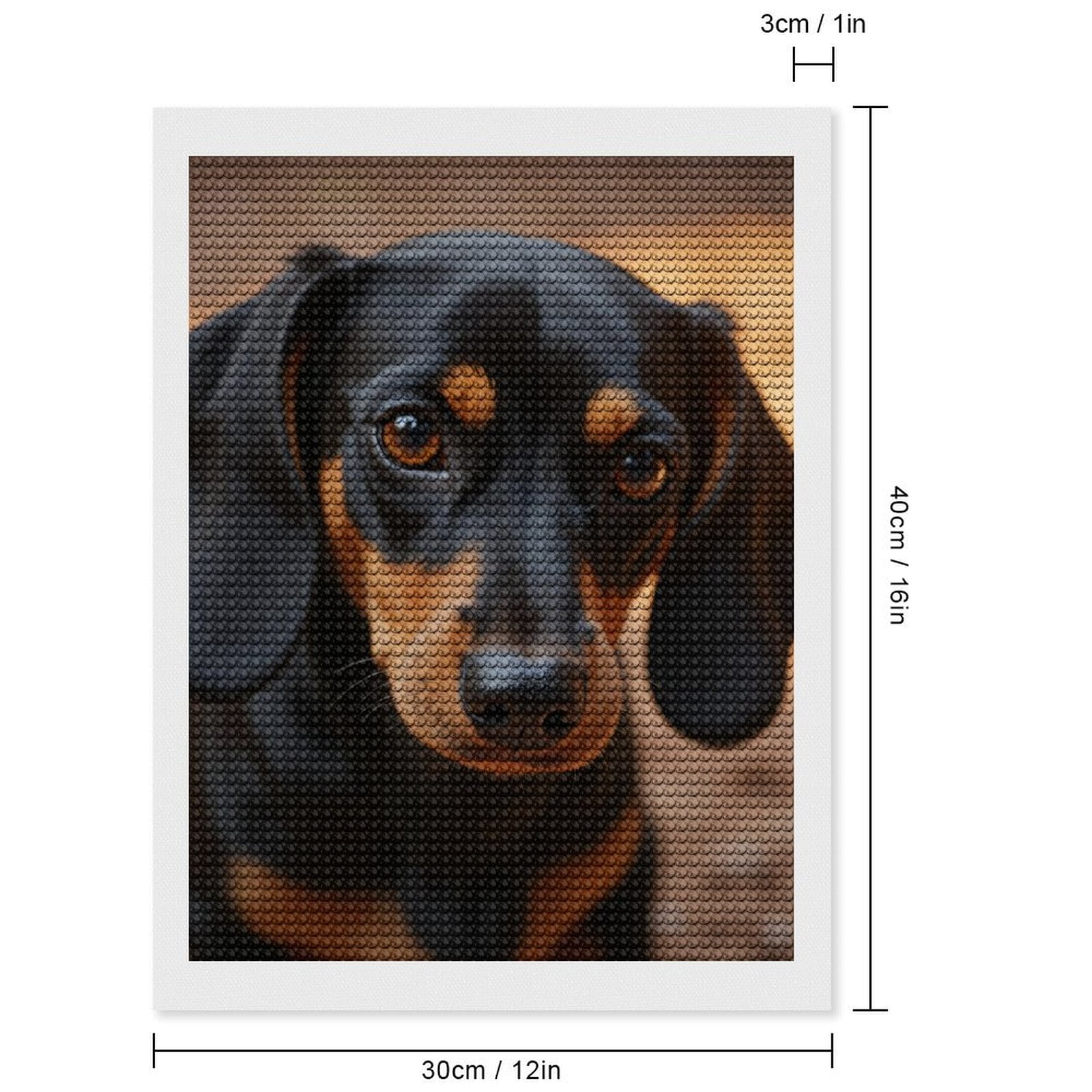 Diamond Art Kits for Adults, Adorable Dachshund Puppy Closeup 5D Diamond Painting Kits for Adults Beginners, DIY Full Drill Diamond Painting, Gem Art and Crafts 12x16
