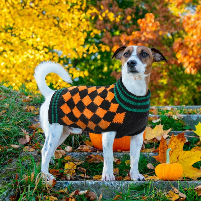 Knitwear Thanksgiving Dog Sweater Thanksgiving Dog Top Sweater
