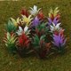 thumbnail image 3 of 100 Unids Plantas Florecientes Paisaje Paisaje, 3 of 9