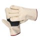 thumbnail image 1 of Guantes de lona para recoger y abrir durianes, equipo multiusos para recoger frutas, protección para las manos, guantes para jardinería y jardinería., 1 of 6