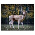 thumbnail image 1 of Deer Ceramic Tile Mural Kitchen Backsplash Bathroom Shower, 402776-M54, 1 of 3