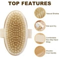 thumbnail image 4 of 2Pcs Natural Bristle Exfoliating Brush, Body Scrubber for Lymphatic Drainage, Blood Circulation, Wet and Dry Deep Exfoliation Smooth Skin, 4 of 4