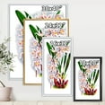 thumbnail image 4 of Designart 'White Vintage Orchid Flower II' Traditional Framed Canvas Wall Art Print, 4 of 5