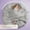 Gray, variant on Premium High-Loft Comforter, White, Cloud-Like Comfort, Weightless Embrace for Restorative Sleep.(White & Queen)