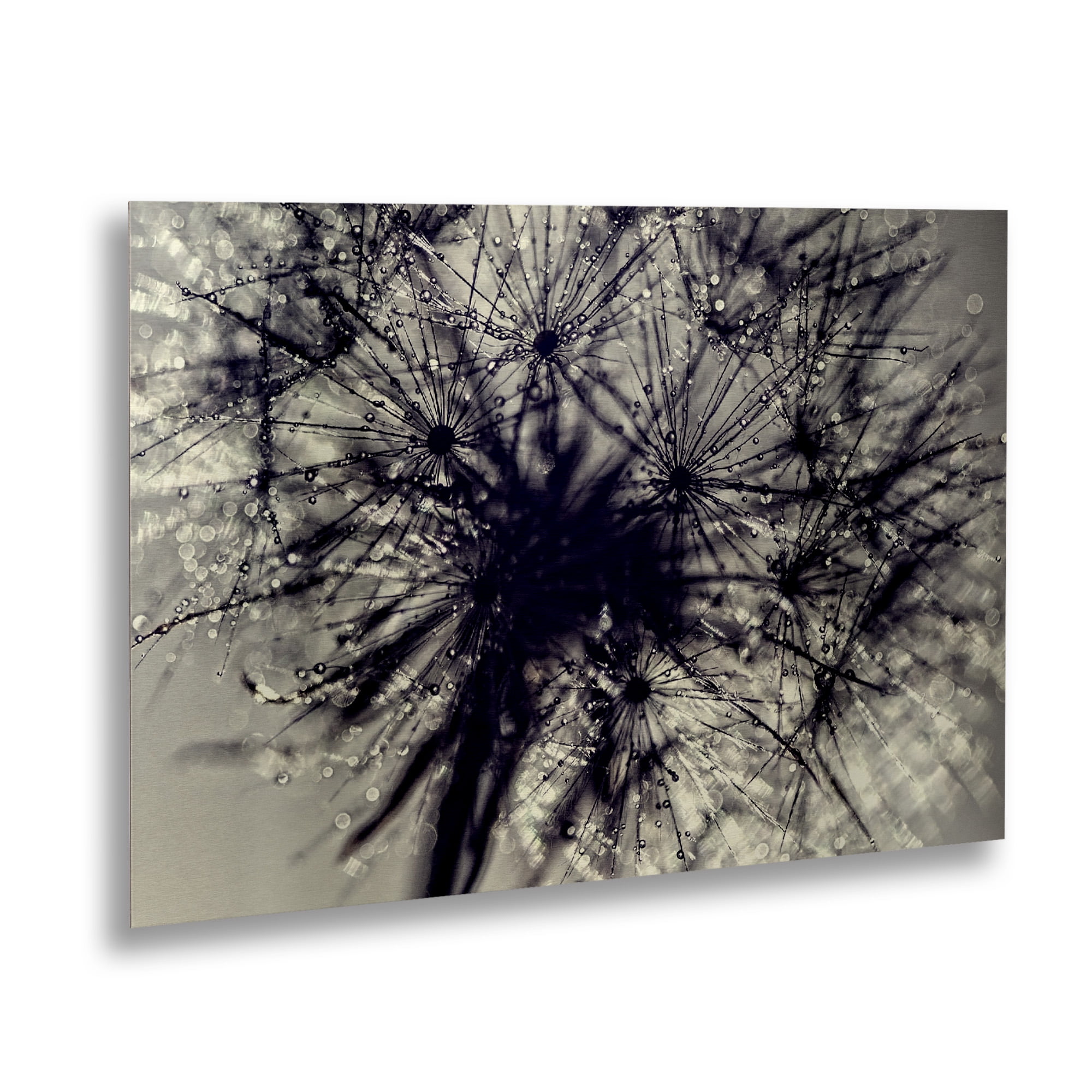 Trademark Fine Art 'Morning Sparkles' Brushed Aluminum Wall Art Art by Beata Czyzowska Young