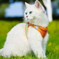 thumbnail image 3 of Reflective Cat Dog Vest for Outdoor Walking Breathable Mesh Pet Harness with Leash - Splicing Pink, 3 of 5