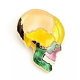 thumbnail image 4 of QQTDFG Colorful Enamel Map Skull Head Pendant Gold Tone Brooch Pin Party Jewelry Gift-default, 4 of 6