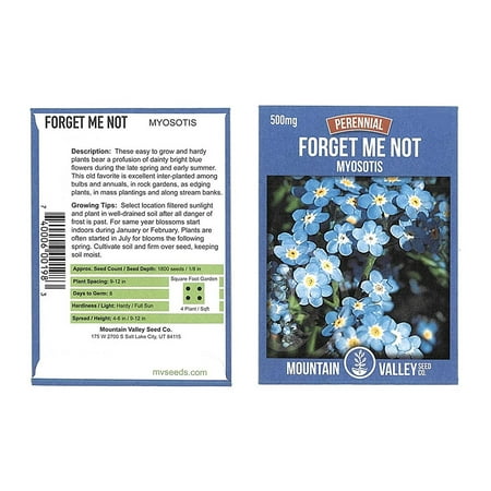 Myosotis Flower Garden Seeds - Sylvatica Forget Me Not - 500 Mg Packet - Perennial Flower Gardening Seeds - Myosotis sylvatica - Forget Me Not,.., By Mountain Valley Seed Company Ship from