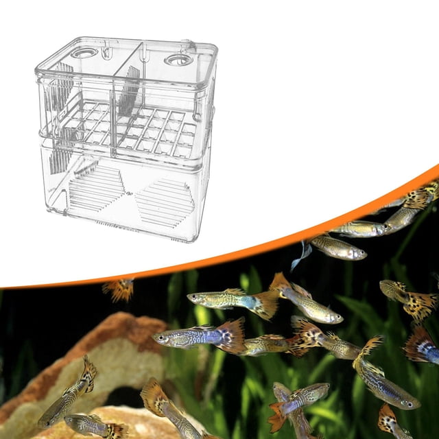 Caja de cría para peces de , incubadora, transparente, profesional, de acrílico, para el aislamiento de peces, ideal para crías de gambas y
