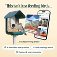 thumbnail image 4 of Comedero para aves Bird Buddy PRO con cámara de 5 MP, IA de identificación y video 2K, 4 of 9