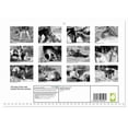 thumbnail image 2 of The last of the wild horses Exmoor ponies (Monthly Wall Calendar 2026 11.7 x 16.5 (open)), CALVENDO 14 Month Calendar, 2 of 9