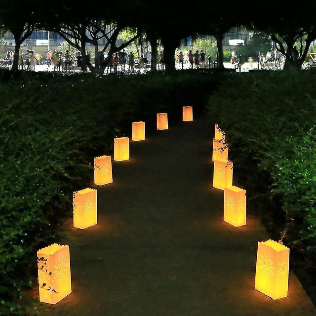 50 Pcs White Luminary Bags, Flame Resistant Candle Bags, Sun Design Luminaries For Wedding, Party