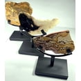 thumbnail image 3 of Display Stand for Slab/Slice//Flat Minerals Base for Rocks Minerals and Crystals Black One Arm Two Prong Holder, 3 of 9