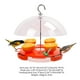 thumbnail image 5 of Comedero Para Pájaros Colgante Para Exteriores, Dispensador De Alimentos, Estación De Alimentación A Prueba De Ardillas Con Techo Transparente Para Balcón, Patio, Jardín, Parque seitruly TO004274-00, 5 of 6