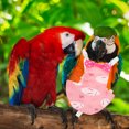 thumbnail image 4 of ADDHAT Pañales Reutilizables Para Pájaros Con Ropa Rosa Decorativa Ideal Para Loros Y Actividades, 4 of 8