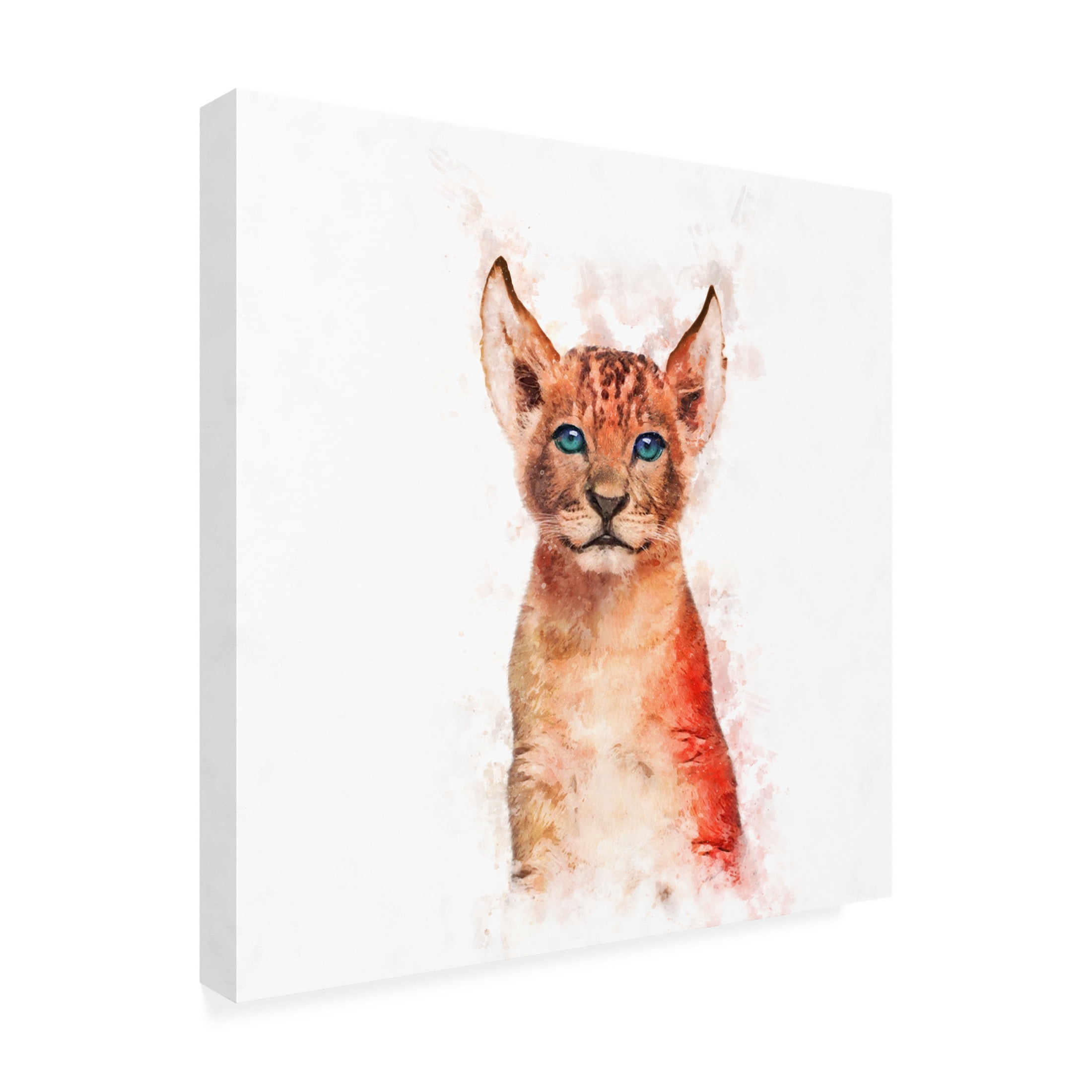Trademark Fine Art Emel Tunaboylu Baby Lion Canvas Wall Art