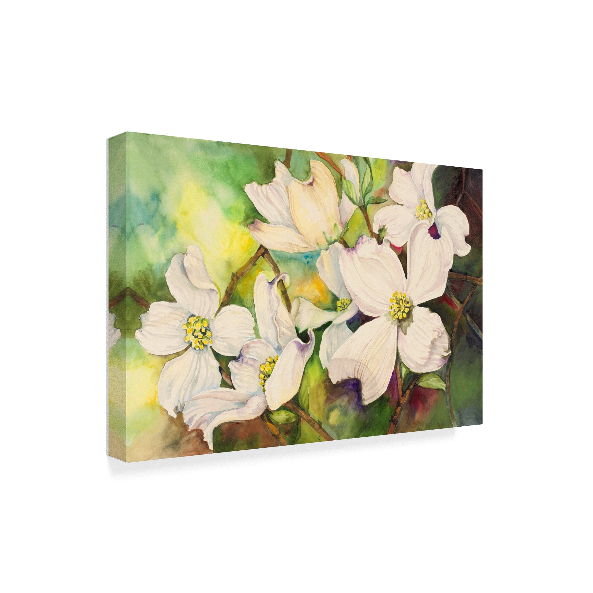 Trademark Fine Art 'White Dogwood' Canvas Art by Joanne Porter