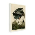 thumbnail image 4 of Trademark Fine Art John James Audubon Great Blue Heron Canvas Wall Art - 12x19, 4 of 4