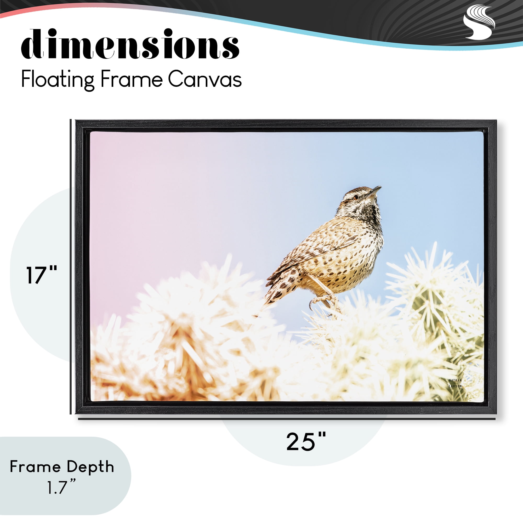 Stupell Industries Desert Song Bird Black Framed Floater Canvas Wall Art, design by Nathan Larson