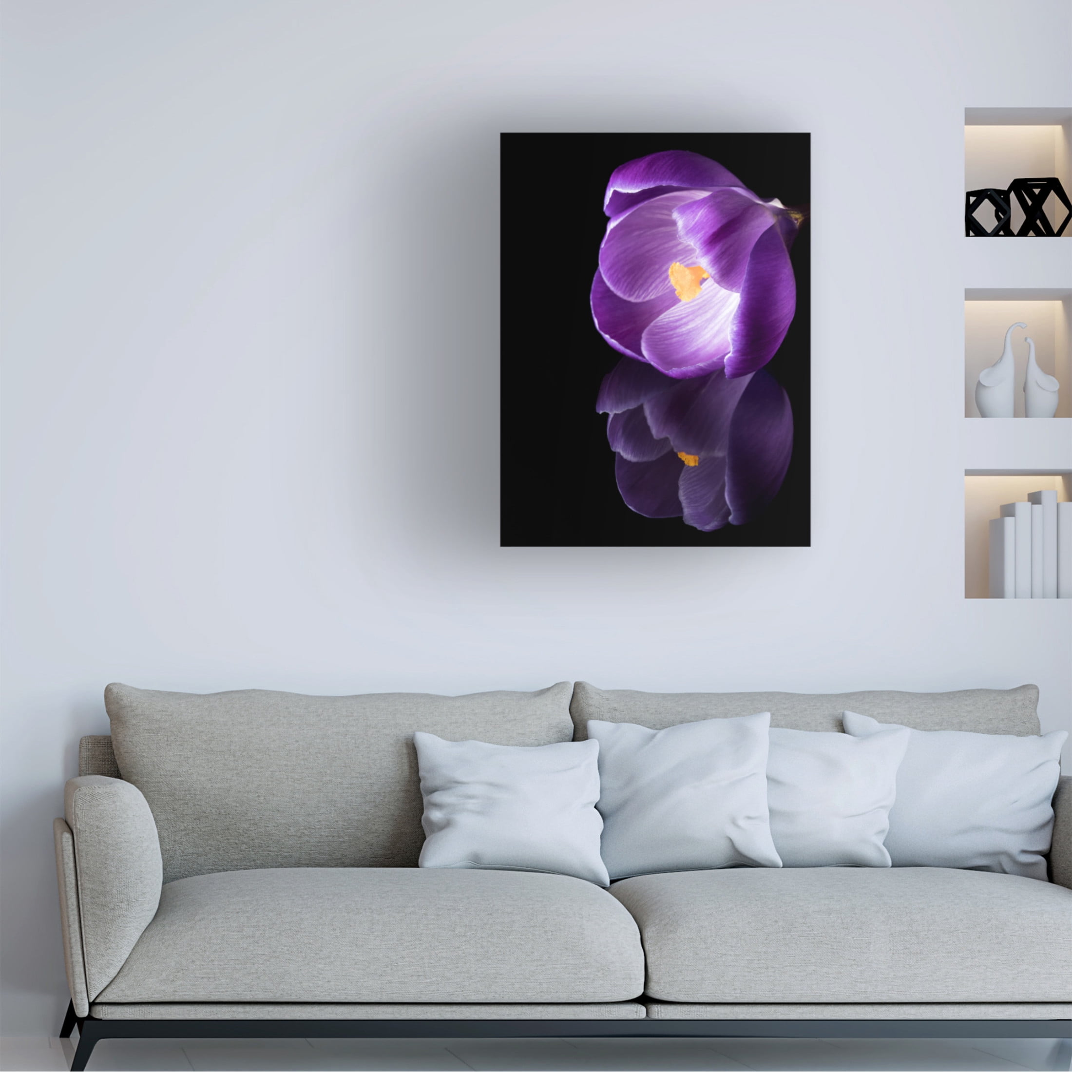 Canvas Wall Art - Jens Gade 'Crocus Flower With Reflections' Wall Art for Living Room, Bedroom, or Office Décor by Trademark Fine Art - 35 x 47 Inches