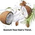 thumbnail image 4 of Pure Blends Coco-Colada Shampoo | Daily Use Hydrating Shampoo| Neutral-No Color Shampoo For In Between Color Depositing Washes | Balances Color & Repairs Dry, Damaged Hair | 33.8 Oz., 4 of 6