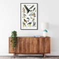 thumbnail image 2 of Charting Nature Birds of Prey Poster Vol 1: Eagles and Hawks Identification Chart 23" x 35" Poster, 2 of 2
