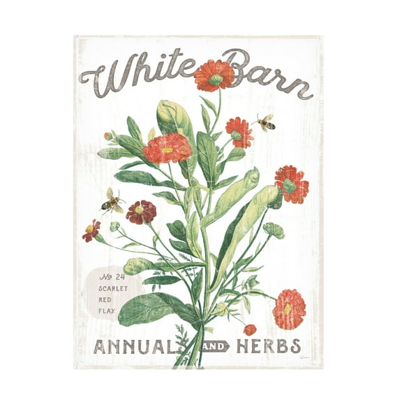 Trademark Fine Art 'White Barn Flowers IV' Canvas Art by Sue Schlabach