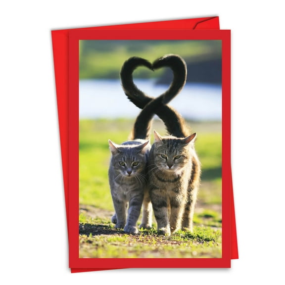 1 Valentine's Day Card with Envelope - Loving Animals Cats C3504BVDG