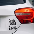 thumbnail image 2 of Labymos Bulldog Dog Car Sticker Reflective Car Adhesive Tape Styling Decoration, 2 of 8