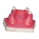thumbnail image 5 of Modelo maxilar con Typodont Typodont Demostración Modelo de dientes Muestra de ayuda para la enseñanza de la capacitación en implantes dentales, 5 of 8