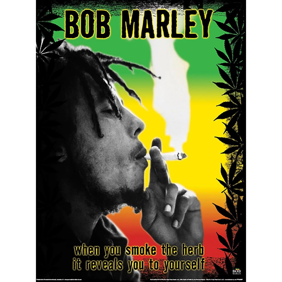 bob marley poster amazing pop art new 22x34 - Walmart.com