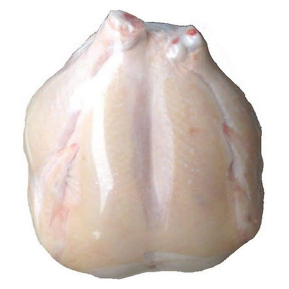 Poultry Shrink Bags (13x20) BAGS , 3 MIL, BPA/BPS , Freezer Safe (50)