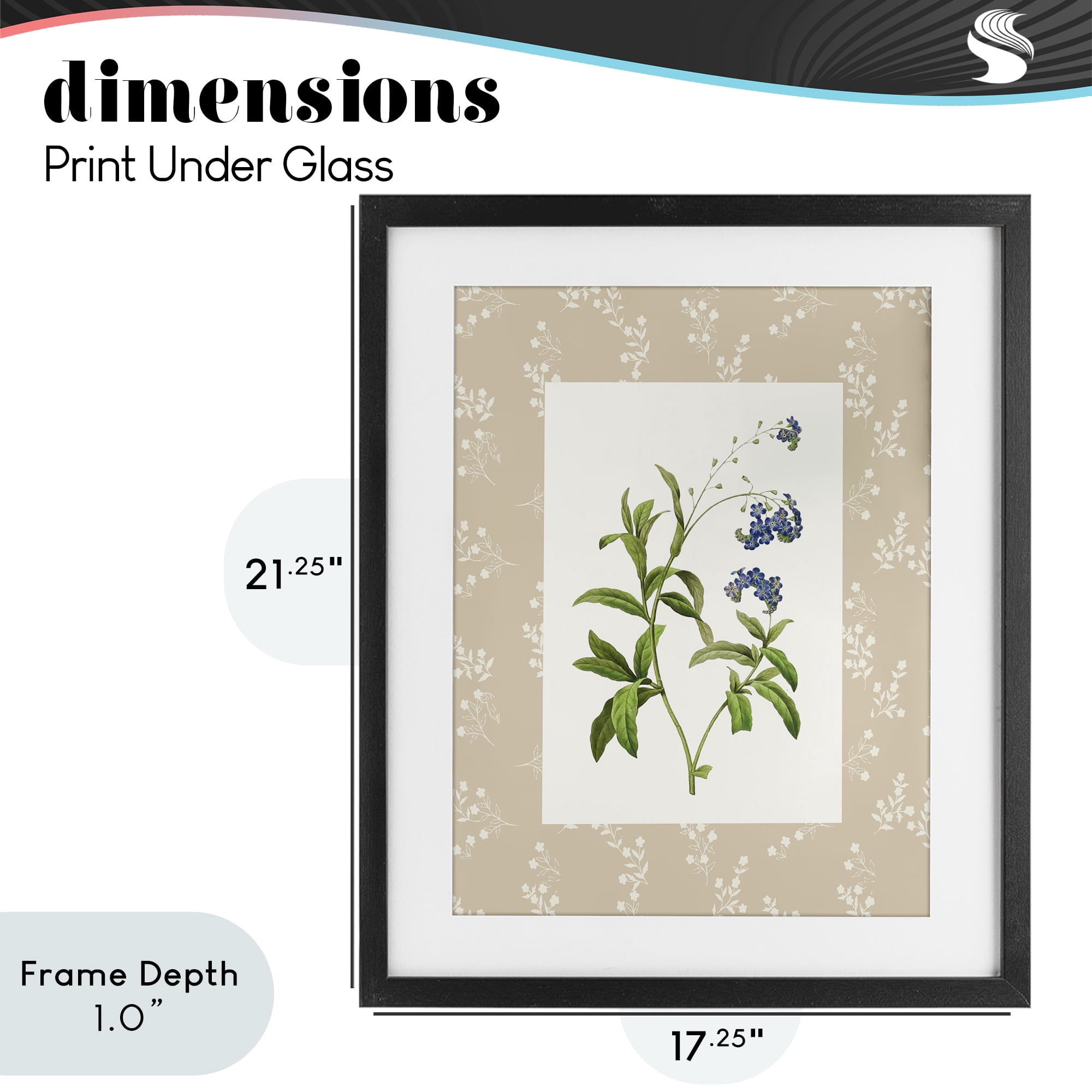 Stupell Industries Botanical Plate Design Black Framed Print Under Glass, design by Val Rhodes