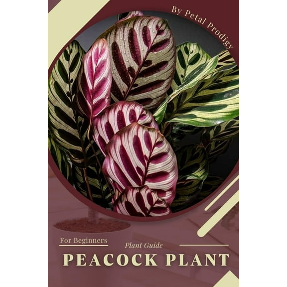 Peacock Plant: Prodigy Petal, Plant Guide (Paperback) by Petal Prodigy
