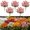 Pink, variant on Artificial Fall Daisy Outdoor Flowers, 5 Bundles UV Resistant Fake Mums with Eucalyptus, Waterproof Faux Silk Plants for Porch Garden Window Box Autumn Home Decor, Gift for Mom