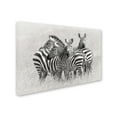 thumbnail image 2 of Trademark Fine Art 'Zebras' Canvas Art by Kirill Trubitsyn, 2 of 3