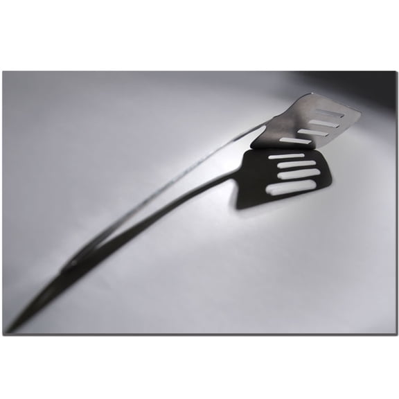 Trademark Fine Art "Spatula I" Canvas Art by Tammy Davison