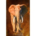thumbnail image 2 of Chamard, Jean-Marc 23x32 White Modern Wood Framed Museum Art Print Titled - Elephant 02, 2 of 4