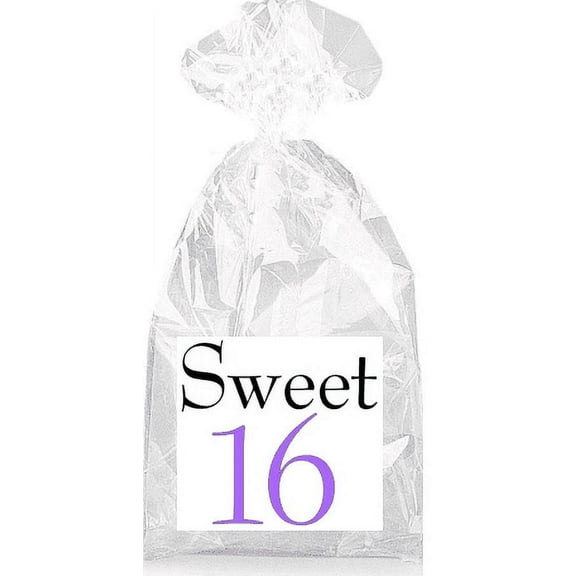 Sweet 16th Birthday Black and Purple Party Favor Bags with Ties - 12pack