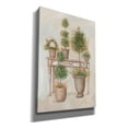 thumbnail image 2 of Epic Graffiti 'Potting Bench & Topiaries II' by Pam Britton, Canvas Wall Art, 18"x26", 2 of 2