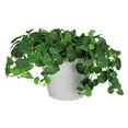 thumbnail image 2 of Northlight 8" White Ribbed Rim Round Eco-Friendly Flower Planter, 2 of 2
