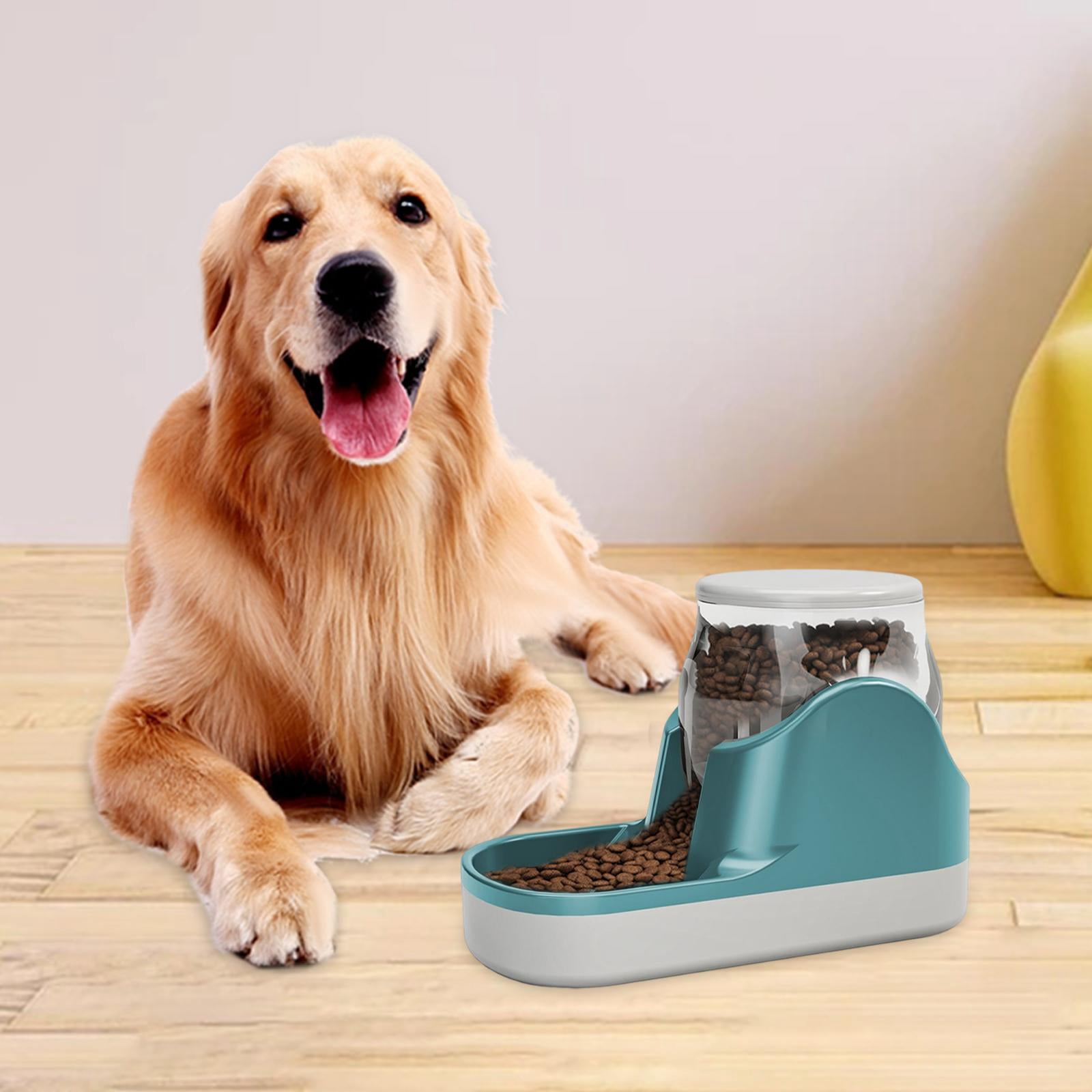 Bvdfgk 3.8L Pet Water Dispenser, Cat Dog Gravity Water Feeder, Automatic Water Bowl for Blue